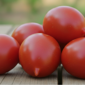 Абрикосттт