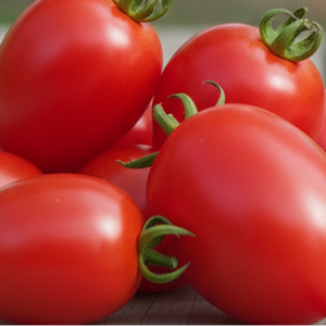 Томат "Чио-Чио сан"