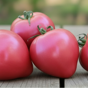 Томат "Орлиное сердце"