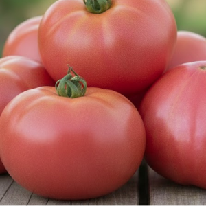 Томат "Великий воин"