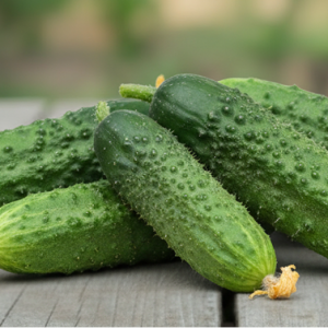 Огурец "Кураж"