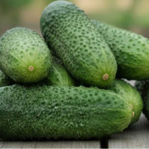 Огурец "Адам"