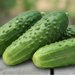 Огурец "Буян"