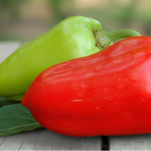 Перец "Богатырь"