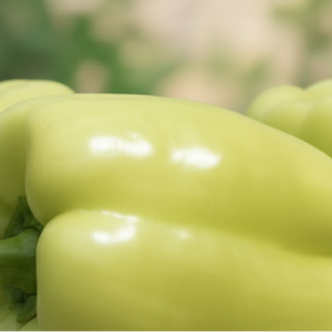 Перец "Самсон"