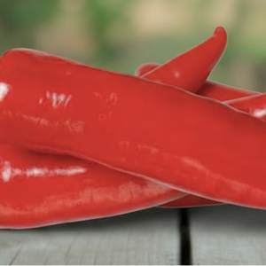 Перец "Тандер"