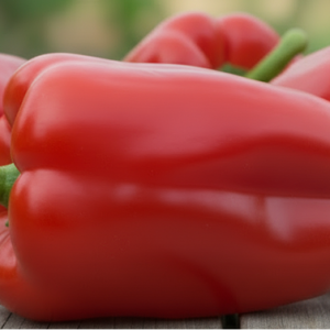 Перец "Медведь"