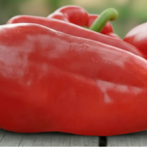 Перец "Аристократ"