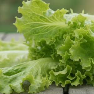 Салат "Айсберг"