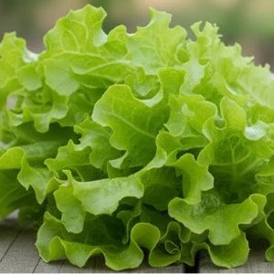 Салат "Дубрава"