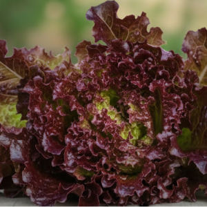 Салат "Вишневая дымка"