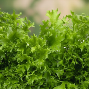 Салат "Филигрань"