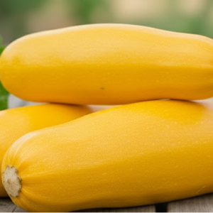 Кабачок "Золотинка"